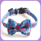 Collar-253